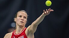 �výcarka Viktorija Golubicová podává v utkání BJK Cupu proti �e�kám.