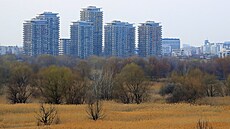 Celkový pohled na skupinu bytových dom� stojících v t�sné blízkosti p�írodního...