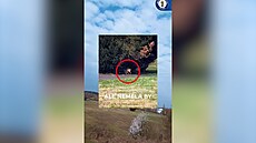 U Jate�ní se pase klokan, tvrdil mu�. Nakonec se z n�j vyklubalo jiné zví�e