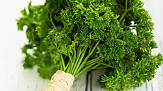 Kudrnatá petr�el, lidov� kudrnka, má jemn�j�í chu�. Hodí se spí�e na dekorování...