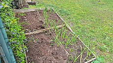 Sídli�t� Solidarita