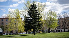 Nedaleko nádra�í a v t�sné blízkosti po�ty. Práv� zde by v budoucnu mohla stát...