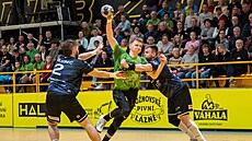 �tvrtfinále extraligy házenká�� Zub�í (v zeleném) - Lovosice.