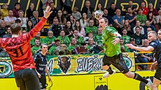 �tvrtfinále extraligy házenká�� Zub�í (v zeleném) - Lovosice.