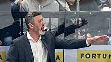 Trenér Sparty Jaroslav Nedv�d v �estém semifinálovém utkání proti Pardubicím.
