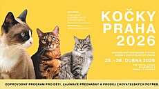 Mezinárodní výstava Ko�ky Praha 2026