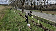 �ábám migrujícím k rybníku u Babic poblí� �ternberka u� nehrozí smrt pod koly...