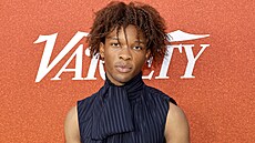 Americký zp�vák d4vd