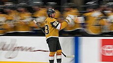 Mitch Marner (93) slaví se spoluhrá�i z Vegas Golden Knights.