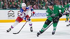 Jaroslav Chmela� (49) z New York Rangers v zápase s Dallas Stars stíhá...