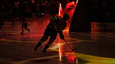 Tomá� Hertl z Vegas Golden Knights se rozjí�dí.