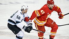 Kailer Yamamoto (vlevo) z Utah Mammoth a Adam Klapka z Calgary Flames bojují o...