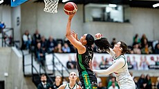 Stephanie Jonesová ze �abin Brno zakon�uje na ko� SB� Ostrava.