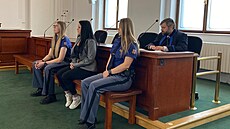 Dev�tat�icetiletá Michaela K. u Krajského soudu v Plzni. Vloni bodla svého...