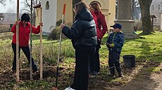 Snímek ze sázení strom� v Pali�i. Dobrovolník� se se�lo zhruba dvacet.