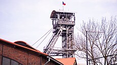 D�l Michal