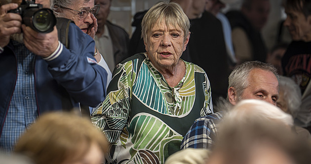 Rajchl přirovnal sudetský sjezd ke Ku-klux-klanu, Zeman viní Čechy z kolaborace