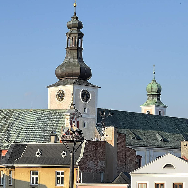 Čápi vzali na milost sloup, když jim Madonu zakryli. Broumov pro ně hledá jména