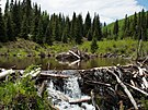 Sierra Nevada (Kalifornie, USA): Hráze ve vysokohorském prost�edí, které slou�í...