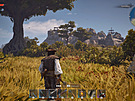Windrose
