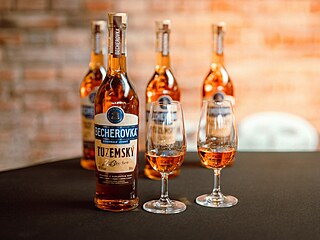 Odkud se vzala becherovka nebo fernet? Vyzn�te se v tvrd�m alkoholu?