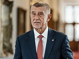 Premiér Andrej Babi� p�ichází na sch�zi vlády, která projedná mimo jiné návrh...