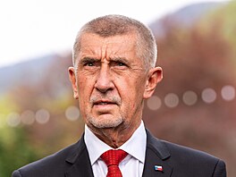 Tisková konference Andreje Babi�e a Karla Havlí�ka b�hem jejich náv�t�vy v...
