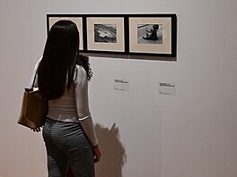 Výstava S�l zem� fotografa a architekta Milana Pitlacha zachycuje syrovou i...