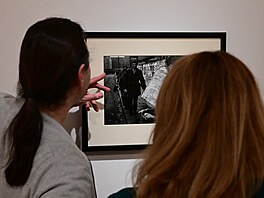 Výstava S�l zem� fotografa a architekta Milana Pitlacha zachycuje syrovou i...