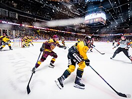 Tomá� �achotský z Jihlavy (vlevo) nahání litvínovského Ond�eje Ka�eho.