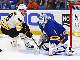 Ukko-Pekka Luukkonen se sna�í uchránit bránu p�ed dotírajícím se Davidem...