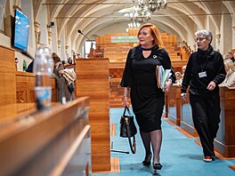 Ministryn� financí a místop�edsedkyn� ANO Alena Schillerová v Senátu (22. dubna...