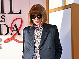 Anna Wintourová na sv�tové premié�e filmu �ábel nosí Pradu 2  v New Yorku (20....
