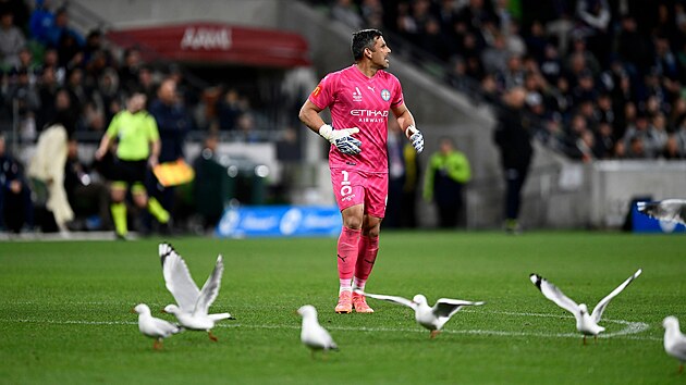 Stadion AAMI Park v Melbourne se pom�rn� �asto potýká s nálety rack�.