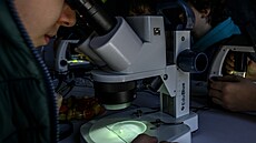 Den životn�­ho prostřed�­ v LitomÄ�řic�­ch láká školáky třeba na pozorován�­ fosili�­