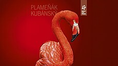 Plame�ák kubánský v Zoo Praha