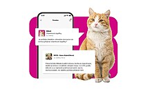 Poradna v aplikaci uVeteriná�e