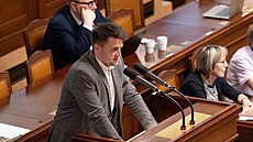 Ústní interpelace v rámci jednání Poslanecké sn�movny. Na snímku �t�pán Slovák...