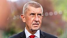 Tisková konference Andreje Babi�e a Karla Havlí�ka b�hem jejich náv�t�vy v...