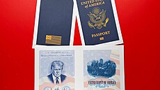 Americké ministerstvo zahrani�í k p�íle�itosti 250. výro�í vyhlá�ení...