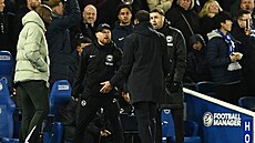 trenér Chelsea Liam Rosenior (zády) v hádce s realiza�ním týmem Brightonu.