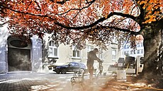 Arboristé odborn� o�et�ují pomocí vý�ivné sm�si �kolní buk na Wagnerov� nám�stí...