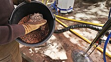 Arboristé odborn� o�et�ují pomocí vý�ivné sm�si �kolní buk na Wagnerov� nám�stí...