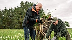 Umíst�ní srn�ete do boxu, aby p�e�kalo se�ení stranou