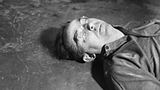 Nacistický pohlavár Heinrich Himmler po zajetí spolkl kyanidovou kapsli. (23....