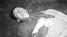 Nacistický pohlavár Heinrich Himmler po zajetí spolkl kyanidovou kapsli. (23....