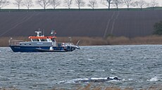 Velryba Timmy pluje zátokou (20. dubna 2026)