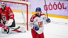 David Tomá�ek se raduje ze vst�eleného gólu.