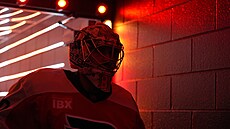 Daniel Vlada� p�ed t�etím utkáním série play off proti Pittsburghu.