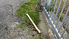 Mu� napadl �enu silným klackem. Zam�stnankyn� servisu s traktory skon�ila v...